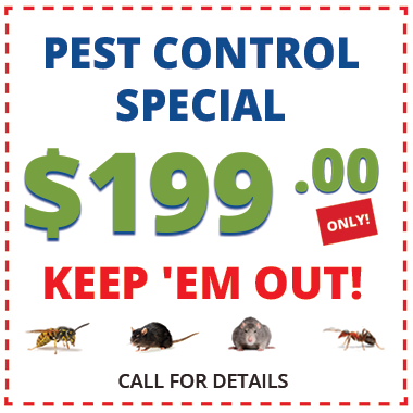 Bayou City Wildlife Removal Birds Coupons